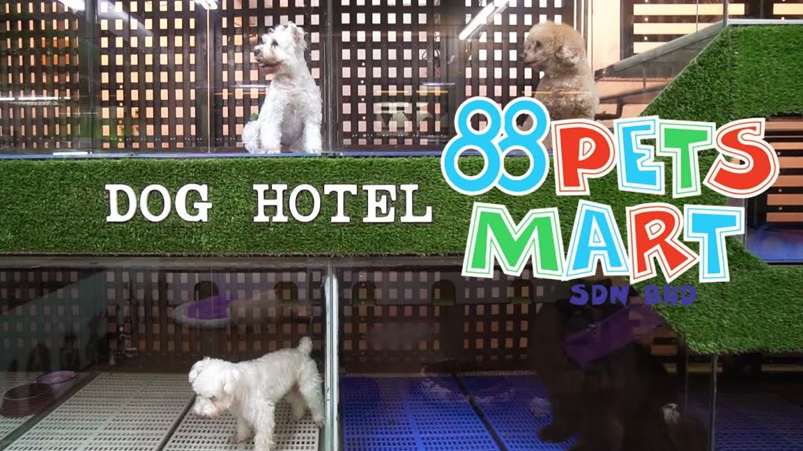 88 Pets Mart Sdn. Bhd. 1 88 pets mart sdn bhd