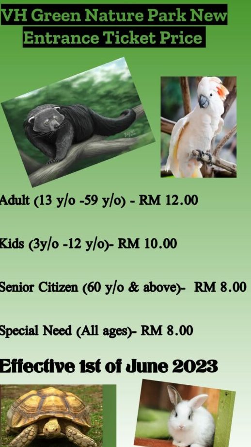 adopsi haiwan peliharaan terbaik di kuching