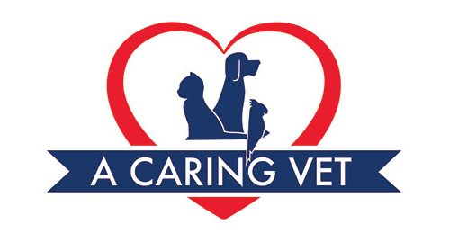Caring Veterinary Centre 1 caring veterinary centre