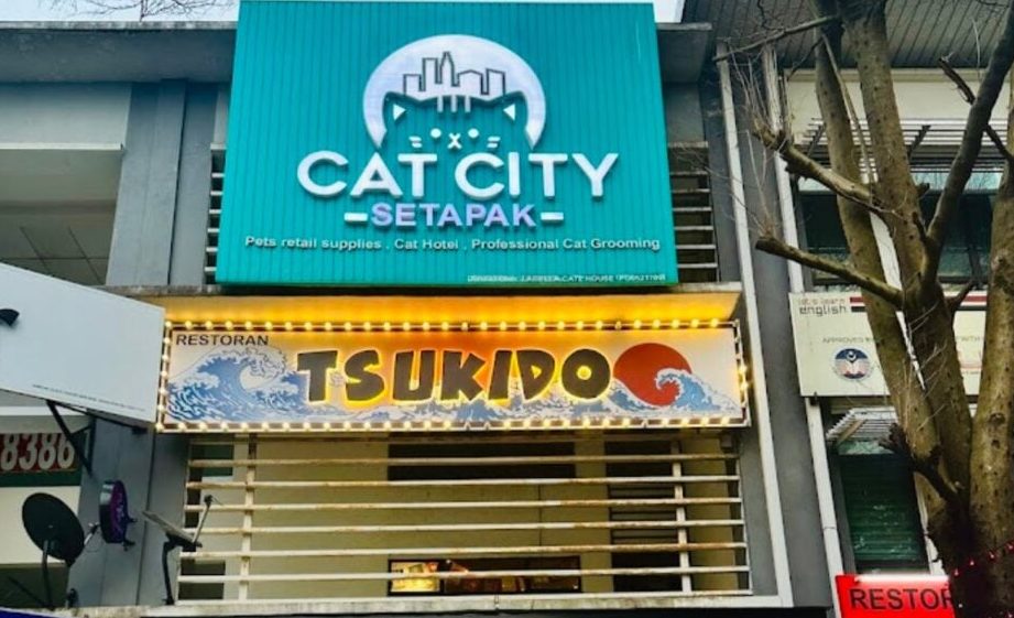 Cat City Setapak ( HQ ) 1 cat city setapak hq