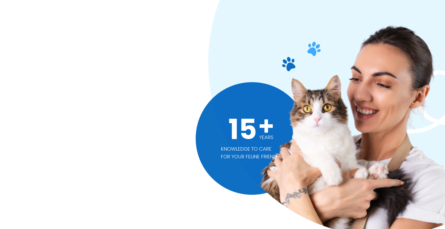 cat n friend pet shop