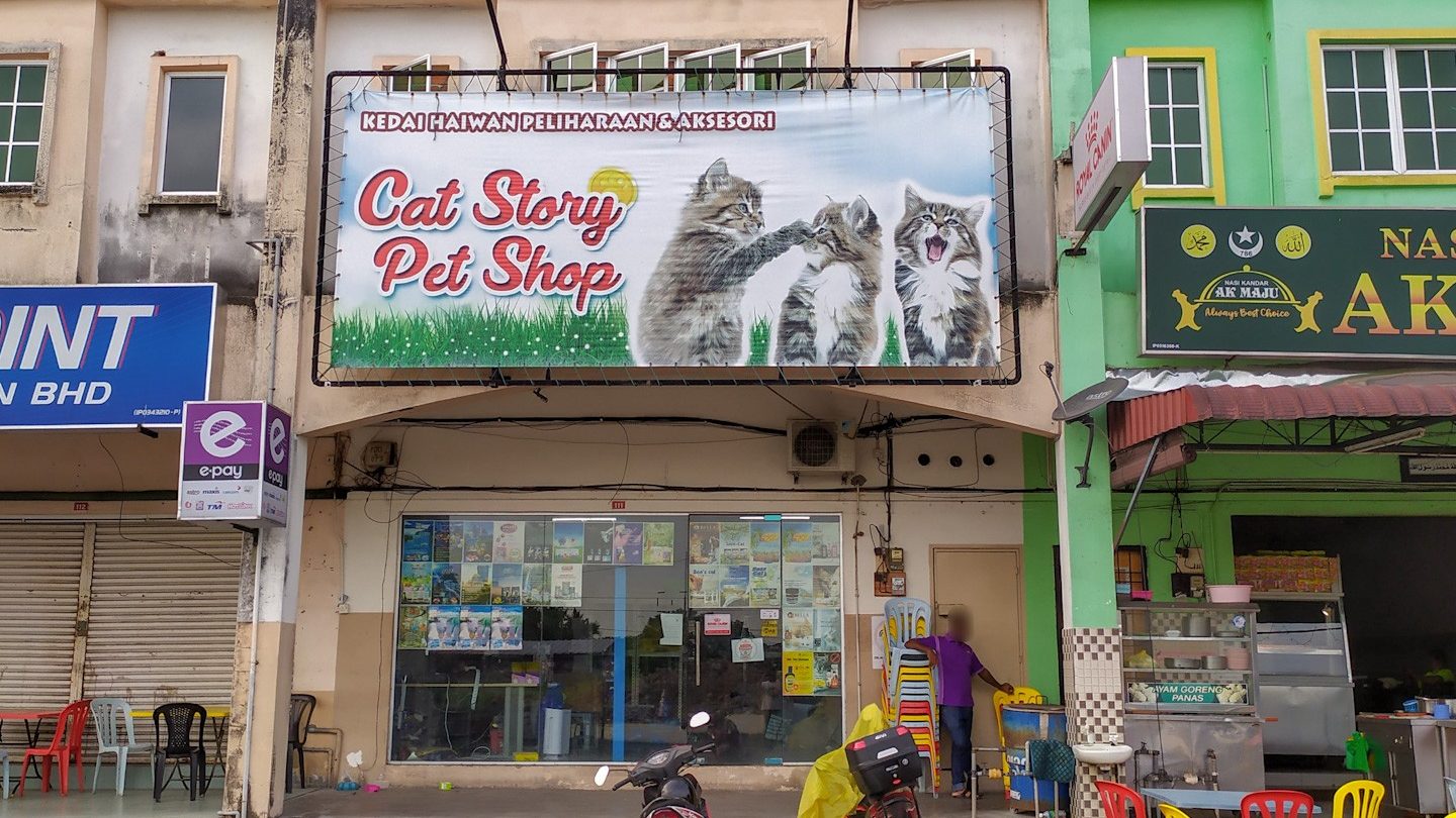 CAT STORY PET SHOP 1 cat story pet shop