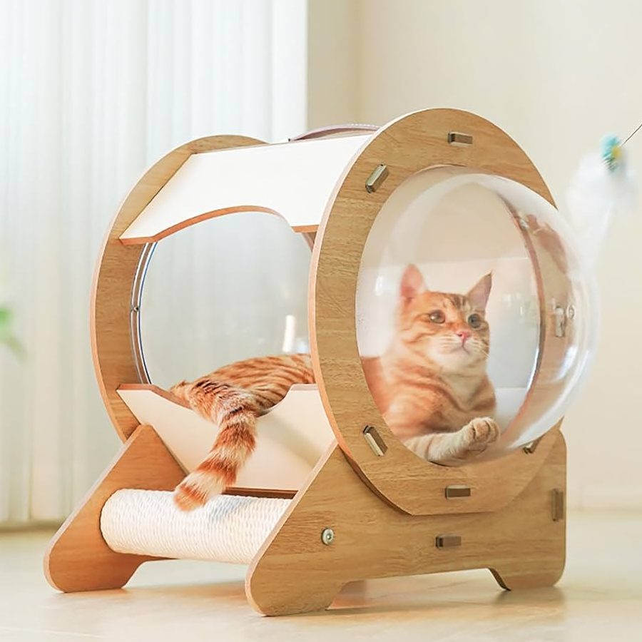 Cat’s Capsule 1 cats capsule