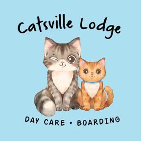 Catsville Lodge - Cat Hotel & Grooming 1 catsville lodge cat hotel grooming