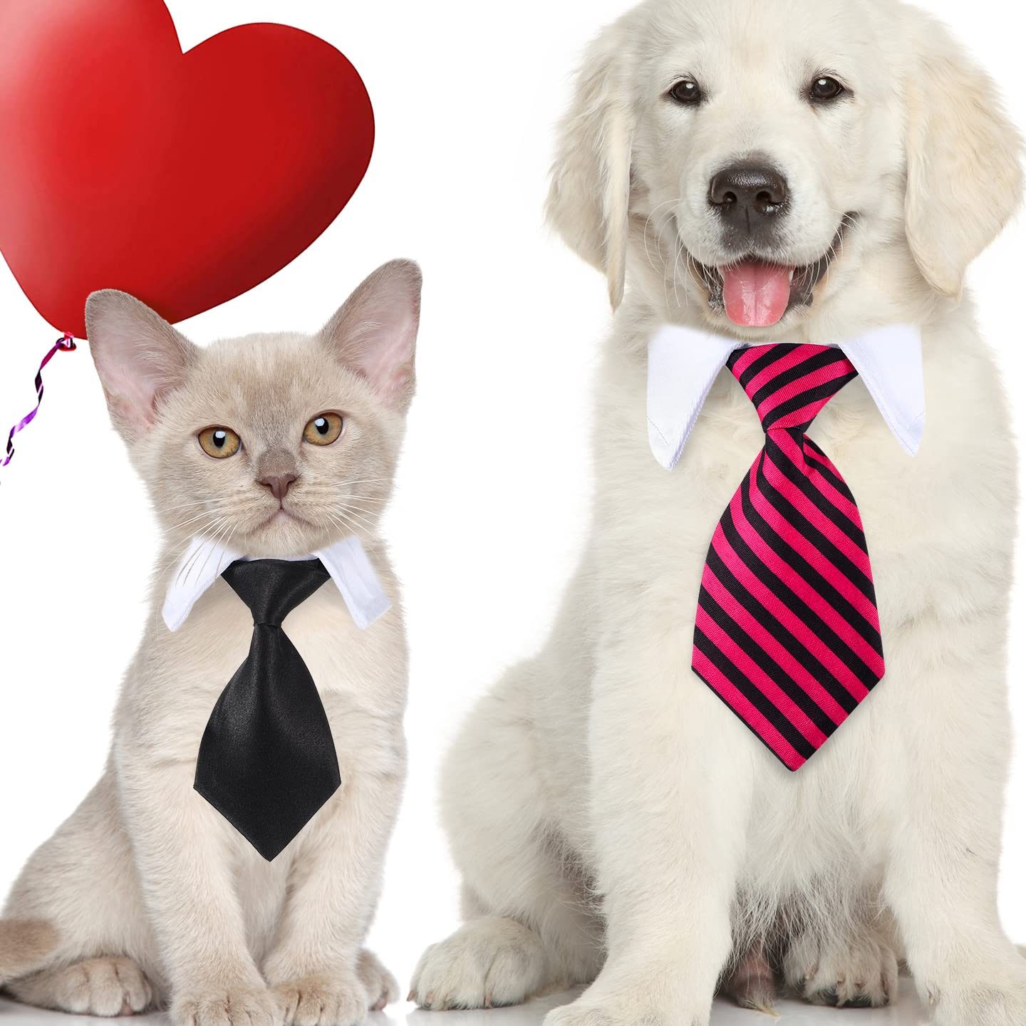 Cattie Doggie Pet Shop 1 cattie doggie pet shop