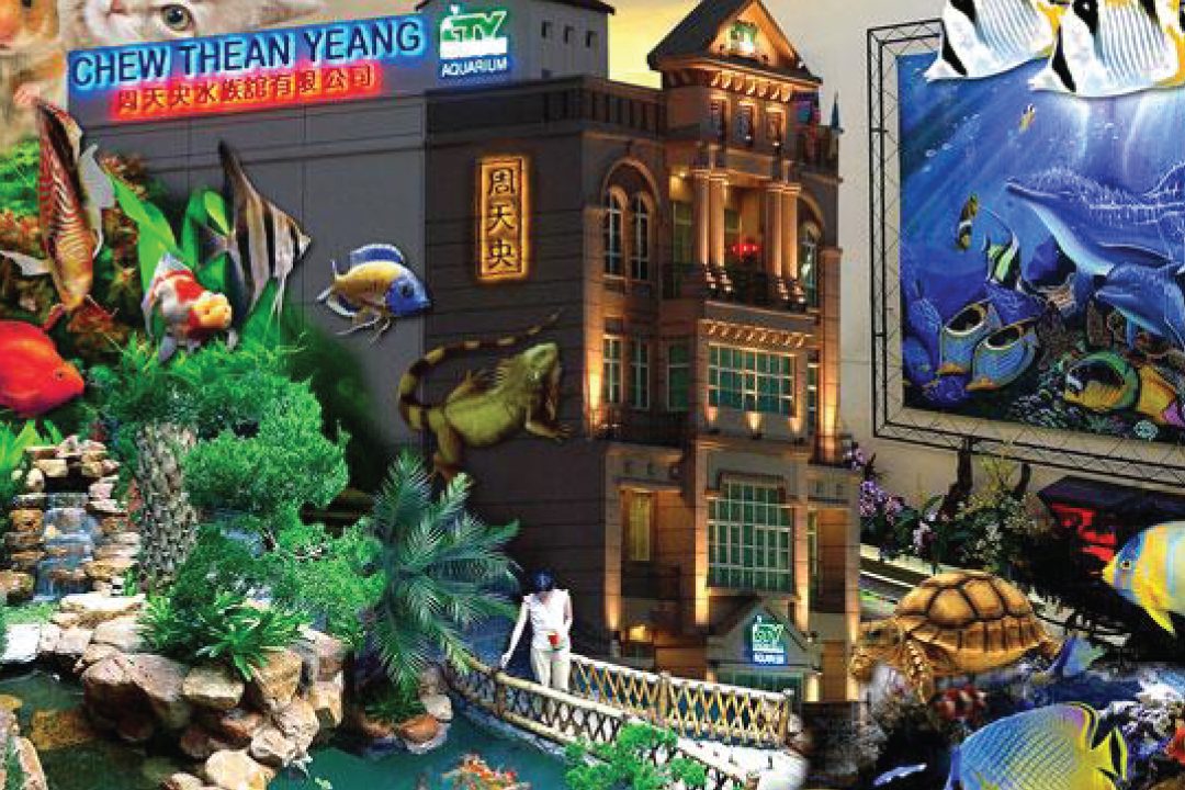 Chew Thean Yeang Aquatic & Pet 1 chew thean yeang aquatic pet
