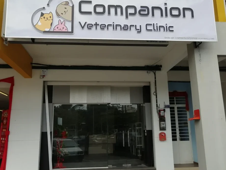 Companion Veterinary Clinic Melaka - Klinik Haiwan Companion Melaka - 马六甲同伴兽医诊所 1 companion veterinary clinic melaka klinik haiwan companion melaka e9a9ace585ade794b2e5908ce4bcb4e585bde58cbbe8af8ae68980