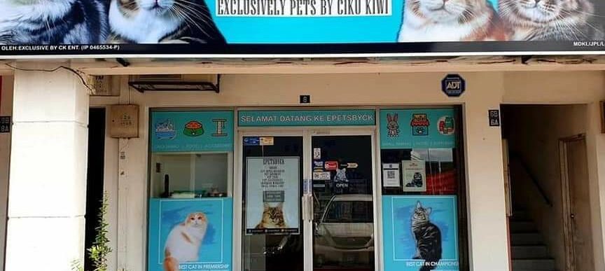 Exclusively Pets By Ciku-Kiwi 1 exclusively pets by ciku kiwi
