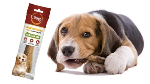 V Pet Centre