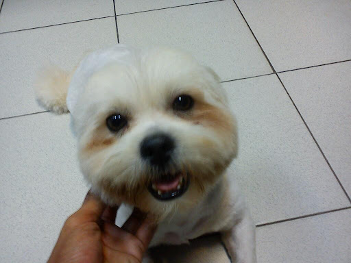 Bettie Veterinary Clinic & Surgery Bettie Veterinary Clinic & Surgery