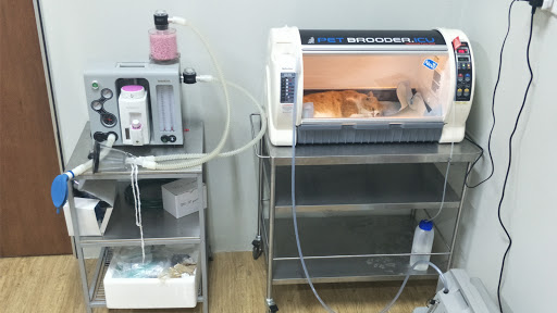 Kitty's Cottage Klinik Haiwan dan Surgeri BANDAR PUTERI KLANG