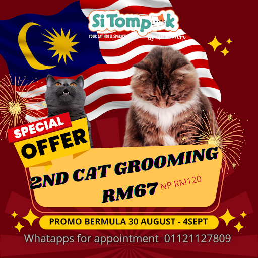 Si Tompok by QR Cattery Si Tompok by QR Cattery