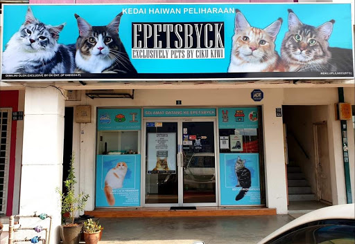 Exclusively Pets By Ciku-Kiwi Exclusively Pets By Ciku-Kiwi