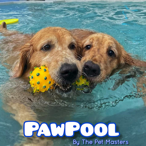 The Pets Masters The Pets Masters