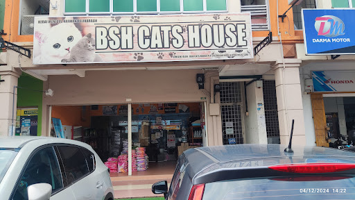 BSH Cat House (Cat Gromming & Boarding Bangi) BSH Cat House (Cat Gromming & Boarding Bangi)