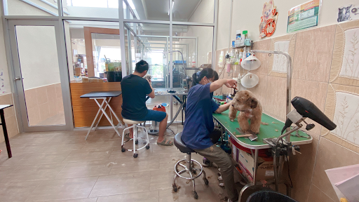 Pets nanny Grooming & Boarding Service Pets nanny Grooming & Boarding Service