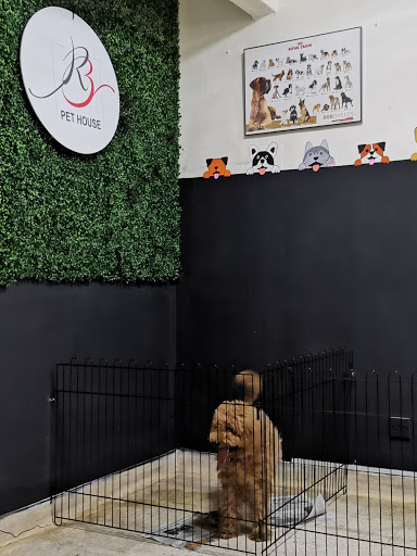RB Pet House RB Pet House