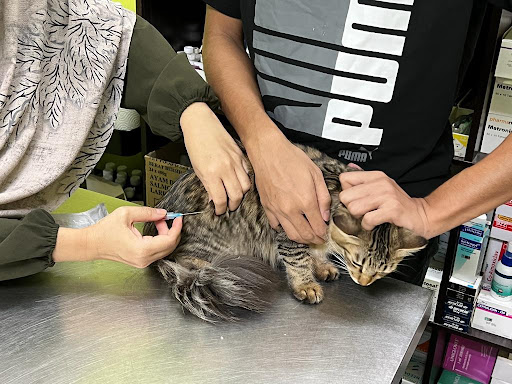 Aman Cekal Veterinary Clinic Aman Cekal Veterinary Clinic