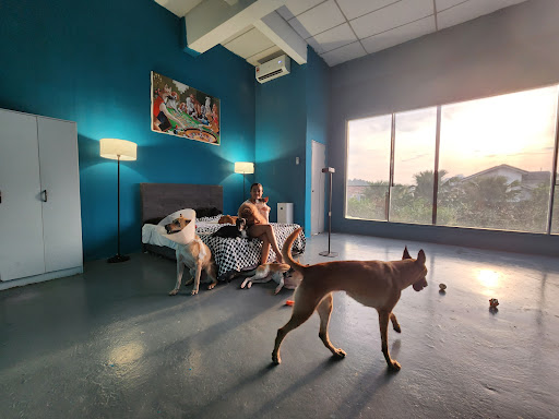 Fluffy Family Pet Boarding and Hotel Fluffy Family Pet Boarding and Hotel