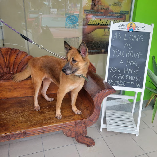 Pet Park Groomers Pet Park Groomers