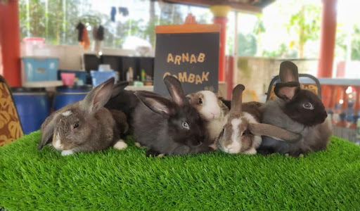 Arnab Gombak Arnab Gombak