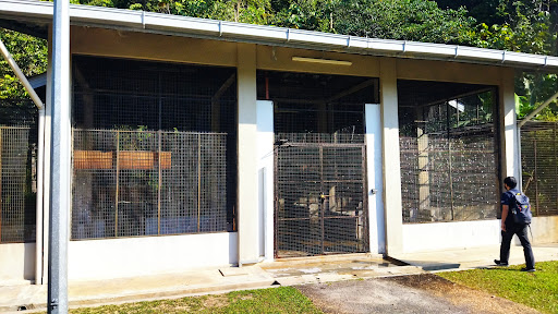 Pusat Menyelamat Hidupan Liar (PMHL), Sungai Tengi