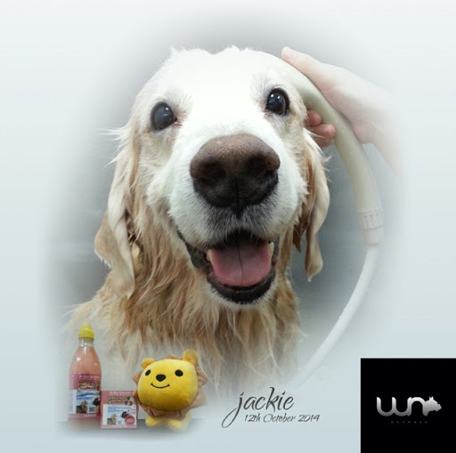 Wet Nose Pet Shop Wet Nose Pet Shop