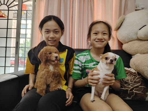 JH Pet House JH Pet House