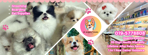 JC Puppy House JC Puppy House