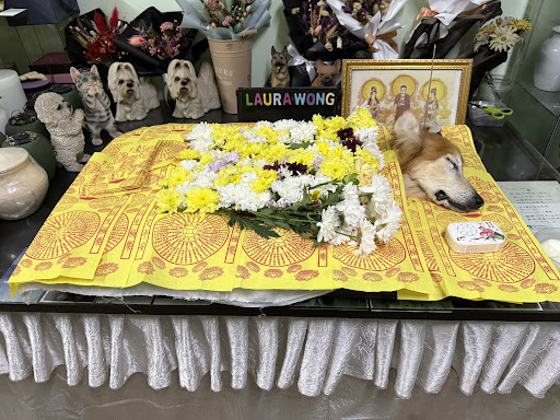 Pets in Peace Malaysia Pets in Peace Malaysia