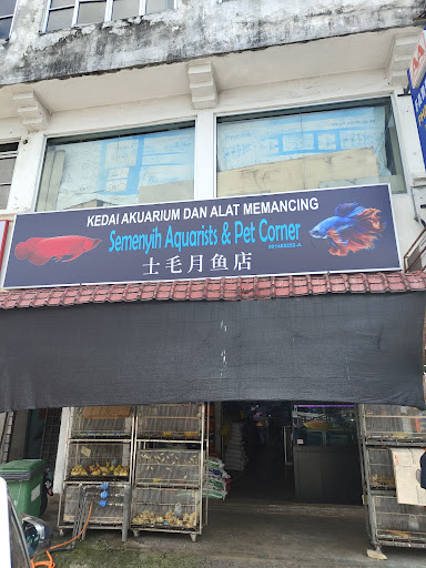Semenyih Aquarists & Pet Corner
