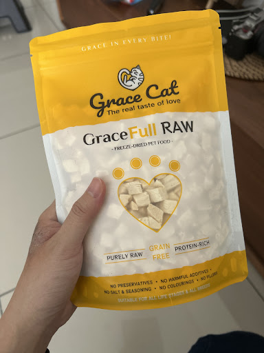 Grace Cat Grace Cat