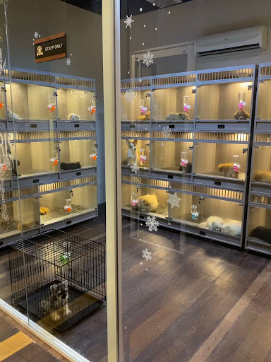 ANK Pet Shop | Kepong Branch ANK Pet Shop | Kepong Branch