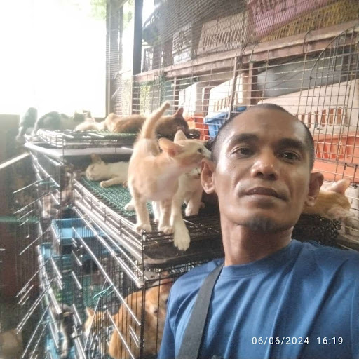 Pusat Kawalan dan Penjagaan Khas Kucing Terbiar