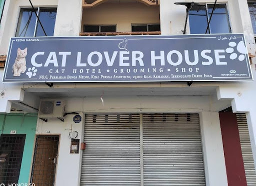 Cat lover house Cat lover house
