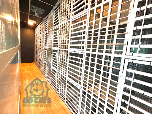 QD CATS HOTEL & SPA CENTRE HQ