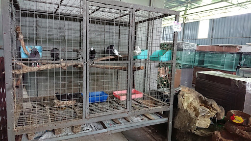 Ikia Aquaculture Technology Sdn Bhd Ikia Aquaculture Technology Sdn Bhd