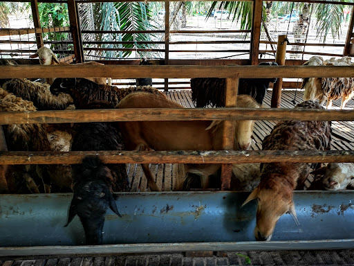 Malaysia Compassion Life Association