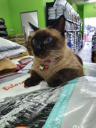 Paragon Pets Lover Malacca Paragon Pets Lover Malacca