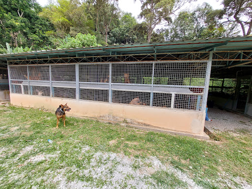 Penang Animal Sanctuary