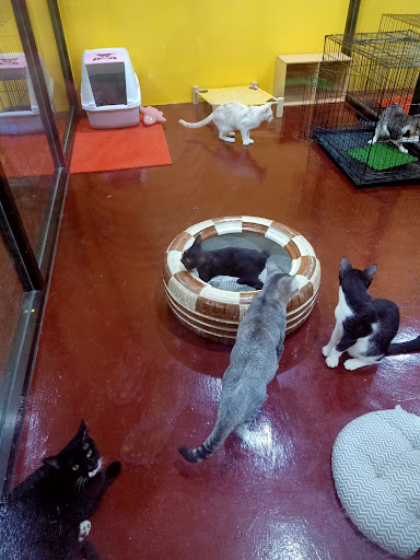 Grahati Pet House Grahati Pet House