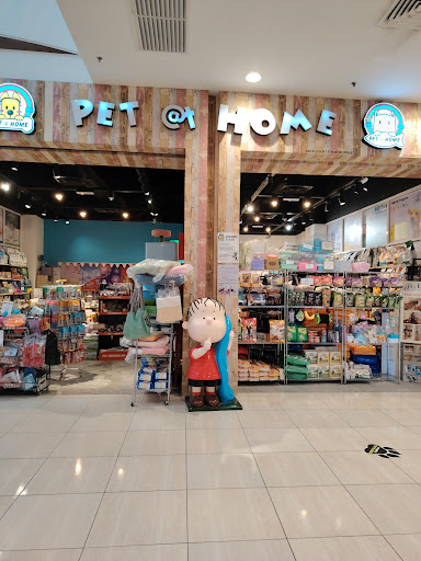 PET at Home @ AEON BIG Ipoh Falim