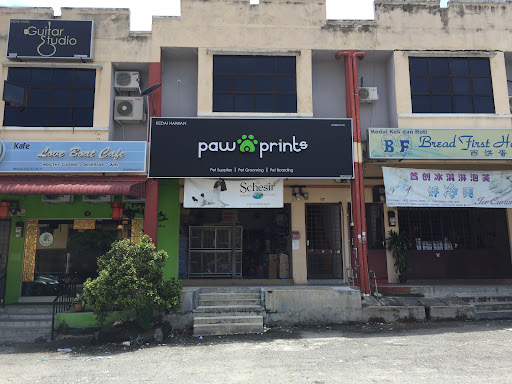 Paw Prints Paw Prints