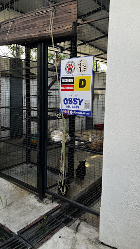 PERSATUAN HAIWAN MALAYSIA - MALAYSIA ANIMAL ASSOCIATION