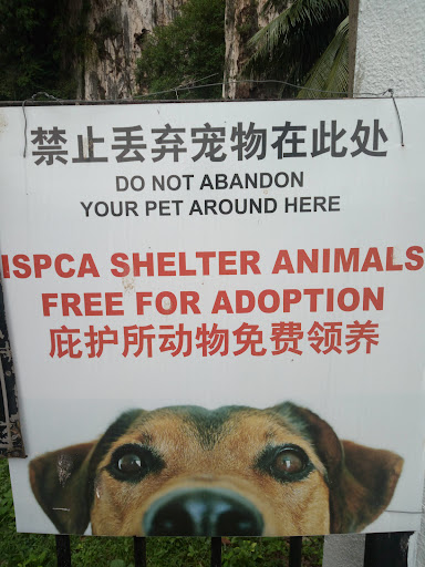 Ipoh Society for the Prevention of Cruelty to Animals | ISPCA