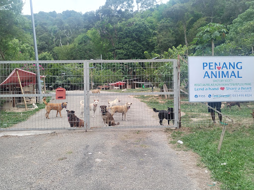 Penang Animal Sanctuary Penang Animal Sanctuary