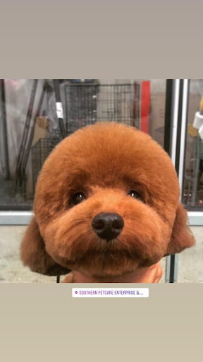 Southern Pet Care Southern Pet Care