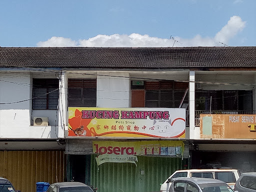Kucing Kampung Pets Shop