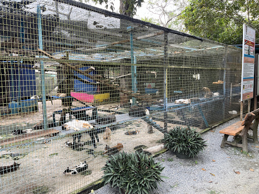 Bustana Kucing Perlis