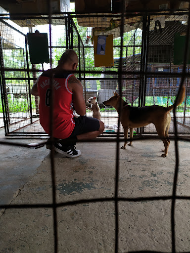 DBKK Dog Pound DBKK Dog Pound